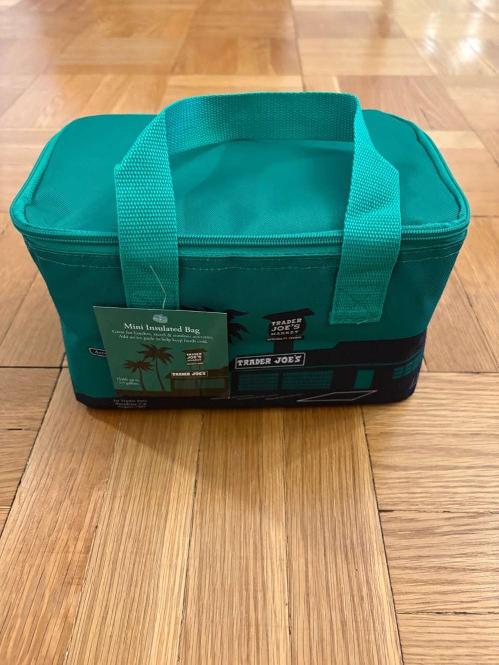 Trader Joe’s Mini Insulated Bag - Green